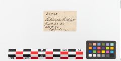 Etiketten zu Eisenlanzenspitze (NHMW-PRAE-023738)